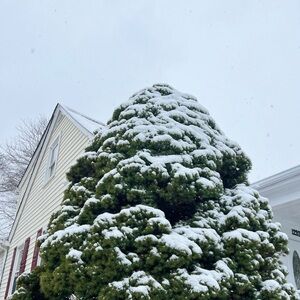 Meet your Posher, Vero